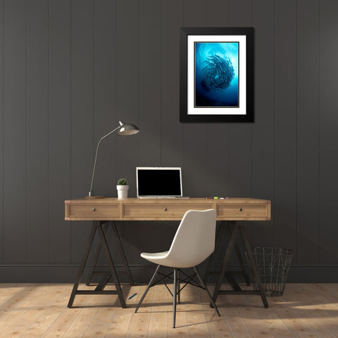 Fish Tornado Black Modern Wood Framed Art Print with Double Matting by Y Lin, Ryan
