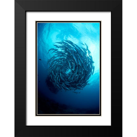 Fish Tornado Black Modern Wood Framed Art Print with Double Matting by Y Lin, Ryan