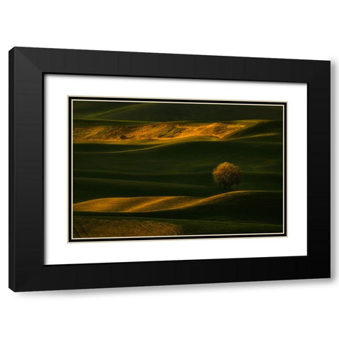 Bright Lonely Tree Black Modern Wood Framed Art Print with Double Matting by Jacobs, Lydia