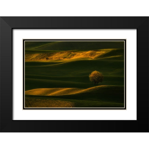 Bright Lonely Tree Black Modern Wood Framed Art Print with Double Matting by Jacobs, Lydia