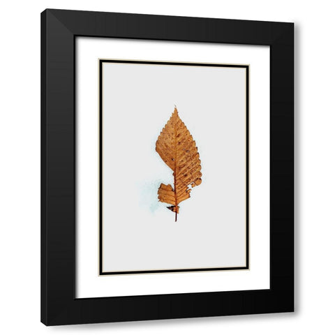 Winter Hide and Seek Black Modern Wood Framed Art Print with Double Matting by Hiroto, Takahashi