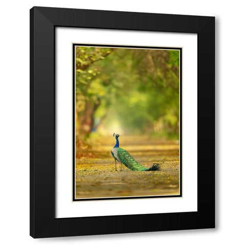 Wild is my favourite Color Black Modern Wood Framed Art Print with Double Matting by Deep, Ujjawal
