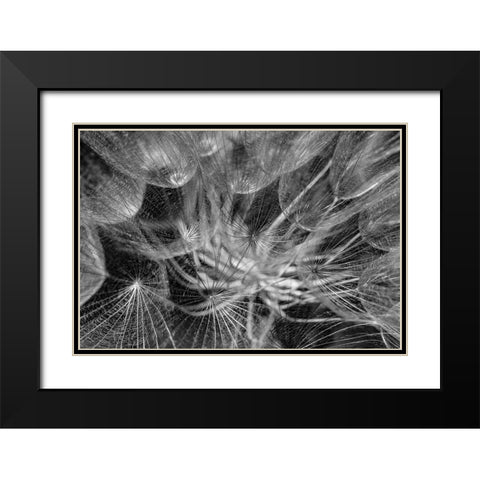 in to the mood Black Modern Wood Framed Art Print with Double Matting by Amihai, Ilan