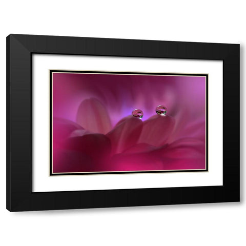 Immortal Love...II Black Modern Wood Framed Art Print with Double Matting by Nan, Juliana