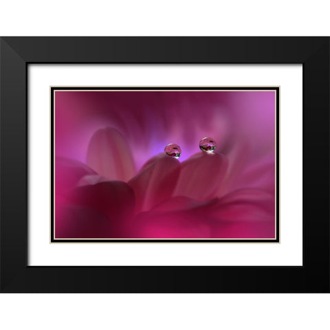 Immortal Love...II Black Modern Wood Framed Art Print with Double Matting by Nan, Juliana