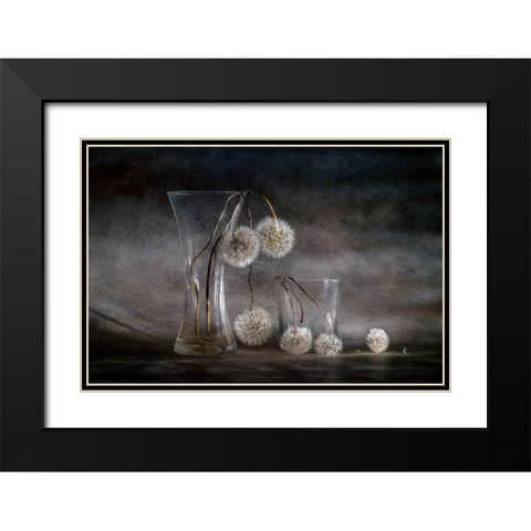 Autumn Balls Black Modern Wood Framed Art Print with Double Matting by Kopcev, Igor