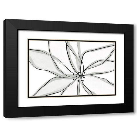 Fragile Flower Black Modern Wood Framed Art Print with Double Matting by Uplusmestudio