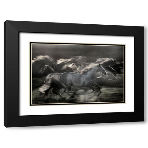 In Gallop Black Modern Wood Framed Art Print with Double Matting by Malovrh, Milan