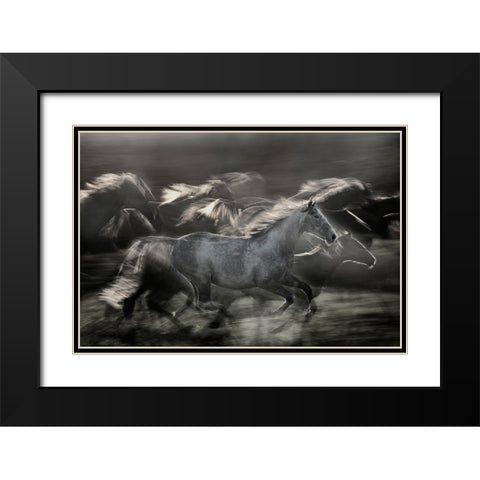 In Gallop Black Modern Wood Framed Art Print with Double Matting by Malovrh, Milan