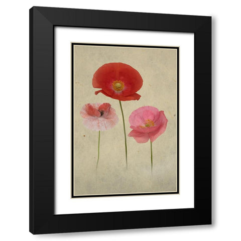 Friends Black Modern Wood Framed Art Print with Double Matting by Urbanski, Richard