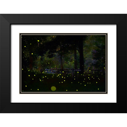 Amazing Fireflies Light Black Modern Wood Framed Art Print with Double Matting by Liang, Ken
