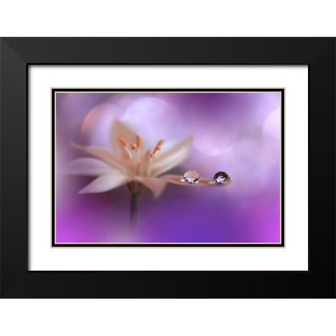 Purple Wind.. Black Modern Wood Framed Art Print with Double Matting by Nan, Juliana