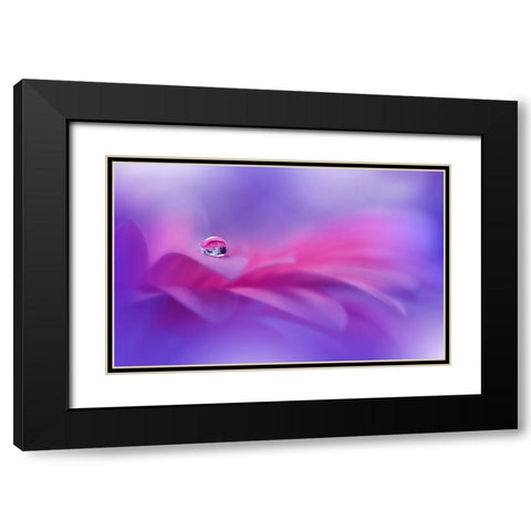 Celebration Of Life..II Black Modern Wood Framed Art Print with Double Matting by Nan, Juliana