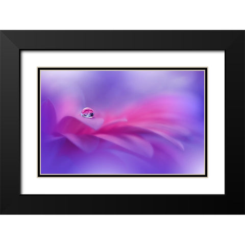 Celebration Of Life..II Black Modern Wood Framed Art Print with Double Matting by Nan, Juliana