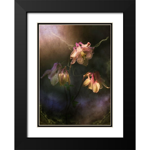 Common Columbine Black Modern Wood Framed Art Print with Double Matting by Zvinakeviciute, Kristina