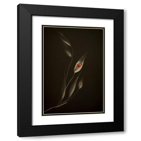 A Resting Place Black Modern Wood Framed Art Print with Double Matting by Kiral, Cicek