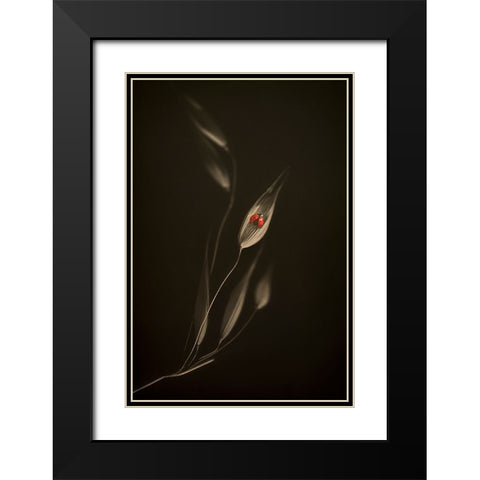 A Resting Place Black Modern Wood Framed Art Print with Double Matting by Kiral, Cicek
