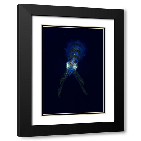 Squid Black Modern Wood Framed Art Print with Double Matting by Y Lin, Ryan