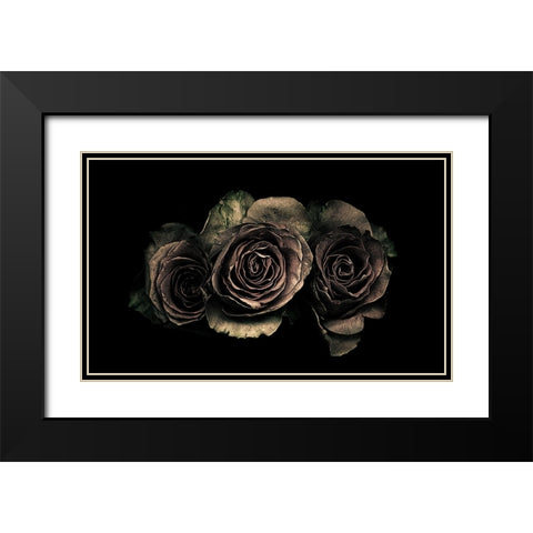 Roses Black Modern Wood Framed Art Print with Double Matting by Julie, Angel