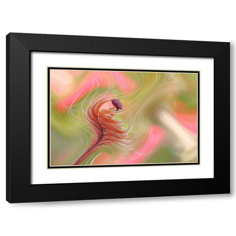 Color Storm... Black Modern Wood Framed Art Print with Double Matting by Dufour, Thierry