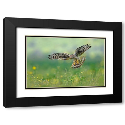 We Will Meet Black Modern Wood Framed Art Print with Double Matting by Rudaeff, Pablo