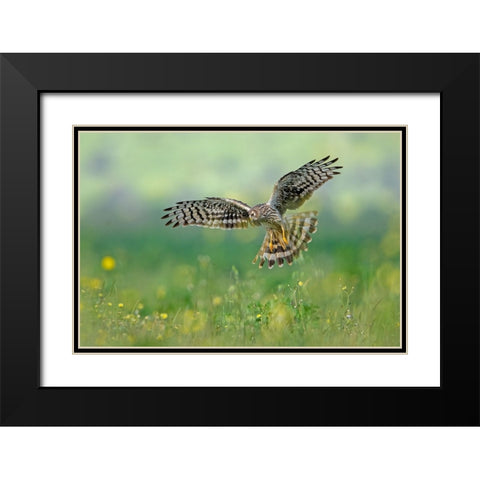 We Will Meet Black Modern Wood Framed Art Print with Double Matting by Rudaeff, Pablo