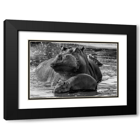 DonT Go Near It Black Modern Wood Framed Art Print with Double Matting by Damico, Giuseppe