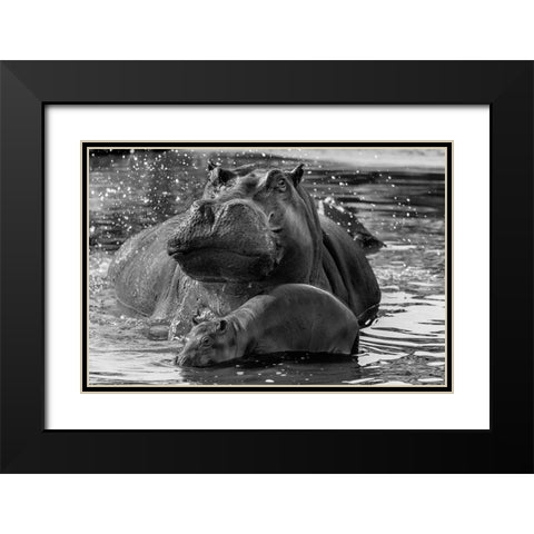 DonT Go Near It Black Modern Wood Framed Art Print with Double Matting by Damico, Giuseppe