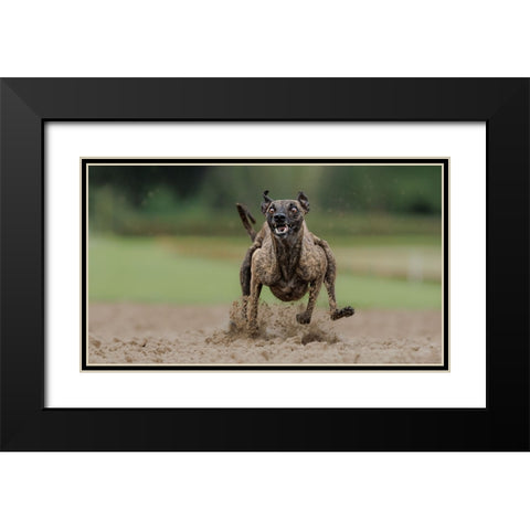 The Look Black Modern Wood Framed Art Print with Double Matting by Engelbos, Mieke
