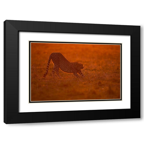 Relax At Dawn Black Modern Wood Framed Art Print with Double Matting by Pozzi, Marco