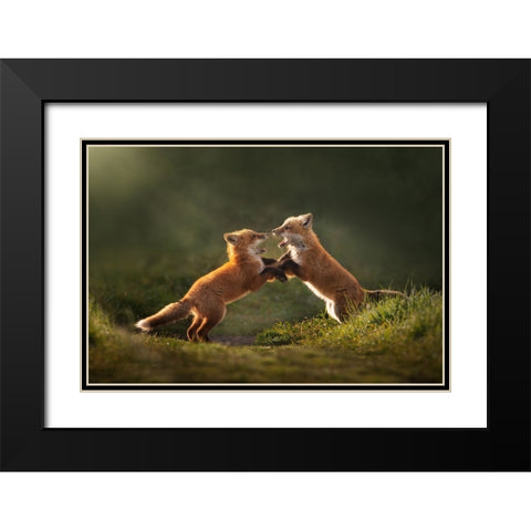 Playful Black Modern Wood Framed Art Print with Double Matting by Li, Rob