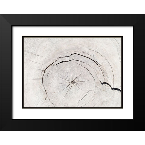 Texture 05 Black Modern Wood Framed Art Print with Double Matting by 1x Studio III