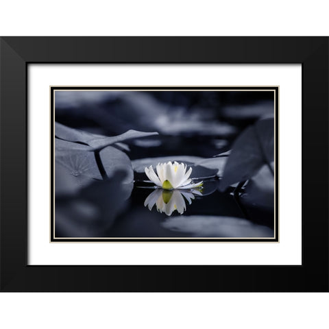Water mirror Black Modern Wood Framed Art Print with Double Matting by Suzuki, Takashi