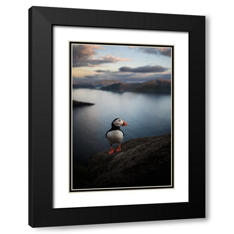 A Puffin With A View Black Modern Wood Framed Art Print with Double Matting by Renmyr, Magnus