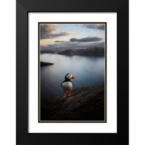 A Puffin With A View Black Modern Wood Framed Art Print with Double Matting by Renmyr, Magnus