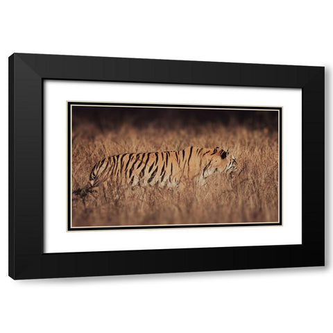 Artistic Tiger Camouflage Black Modern Wood Framed Art Print with Double Matting by Sharma, Abhinav