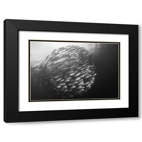Ball Black Modern Wood Framed Art Print with Double Matting by Y Lin, Ryan