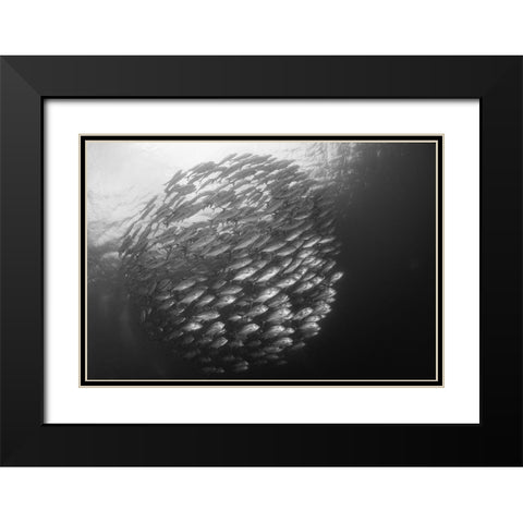 Ball Black Modern Wood Framed Art Print with Double Matting by Y Lin, Ryan