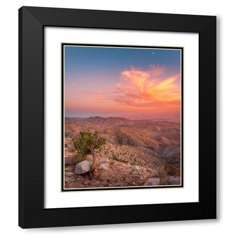 Desert Sunset Black Modern Wood Framed Art Print with Double Matting by Iqbal, Syed