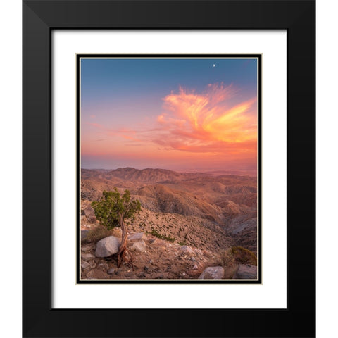 Desert Sunset Black Modern Wood Framed Art Print with Double Matting by Iqbal, Syed