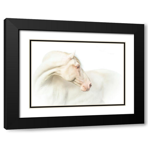 Mr. Blue Eyeab Black Modern Wood Framed Art Print with Double Matting by Weerink, Celine