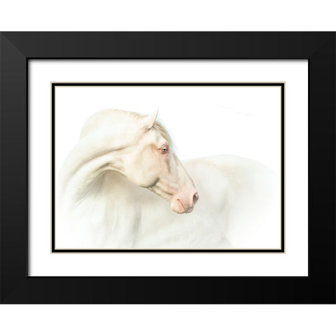 Mr. Blue Eyeab Black Modern Wood Framed Art Print with Double Matting by Weerink, Celine