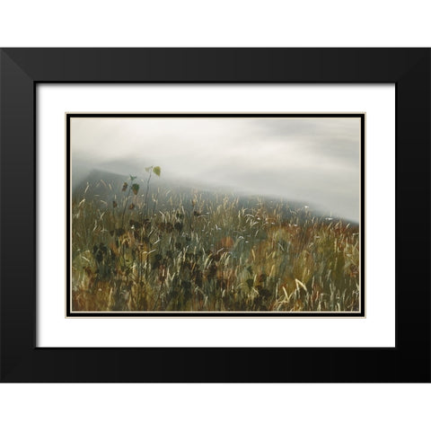 In the field Black Modern Wood Framed Art Print with Double Matting by Talen, Nel