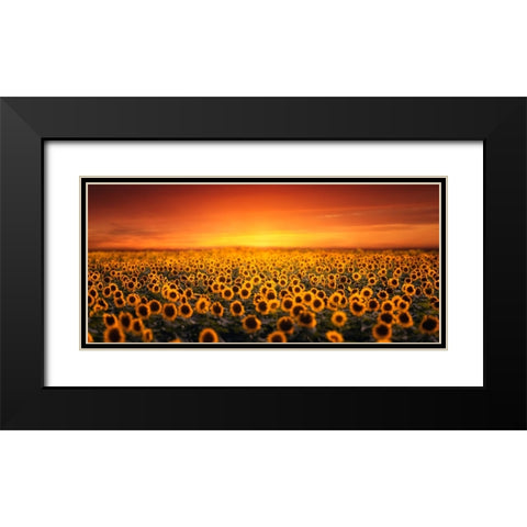 Sunset On Sunflower Field Black Modern Wood Framed Art Print with Double Matting by Seo, Tiger