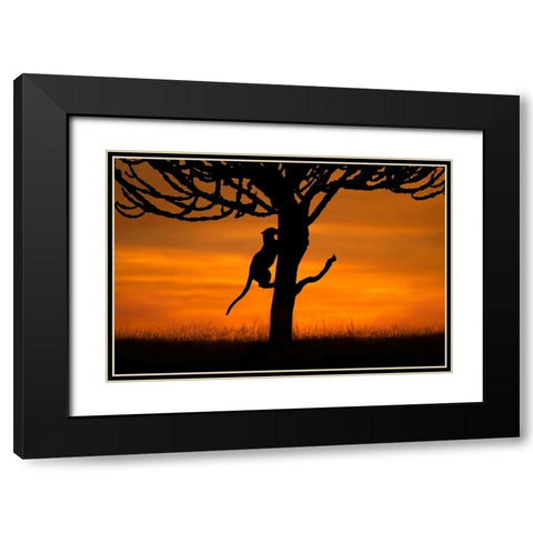 Back home Black Modern Wood Framed Art Print with Double Matting by Ortega, Xavier