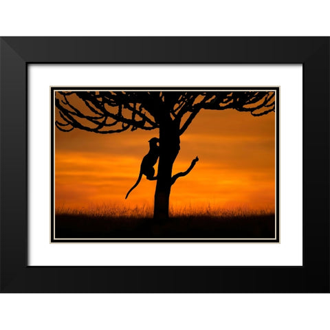 Back home Black Modern Wood Framed Art Print with Double Matting by Ortega, Xavier