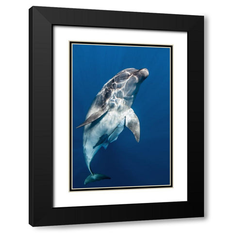 Hello you ! Black Modern Wood Framed Art Print with Double Matting by Peneau, Cedric