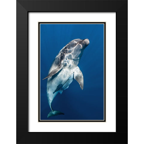 Hello you ! Black Modern Wood Framed Art Print with Double Matting by Peneau, Cedric