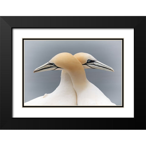 Symmetric Love Black Modern Wood Framed Art Print with Double Matting by Patrick, Boterman