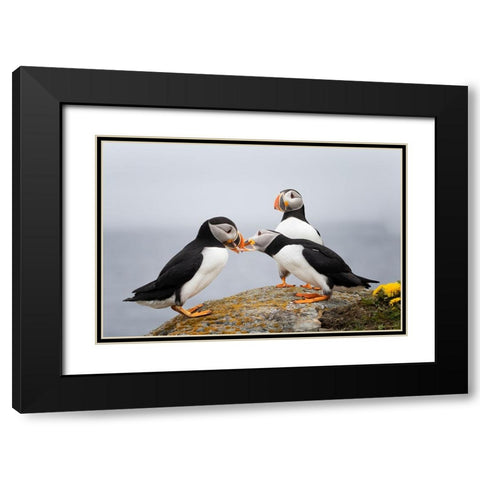 Trio Black Modern Wood Framed Art Print with Double Matting by Fu, Molly